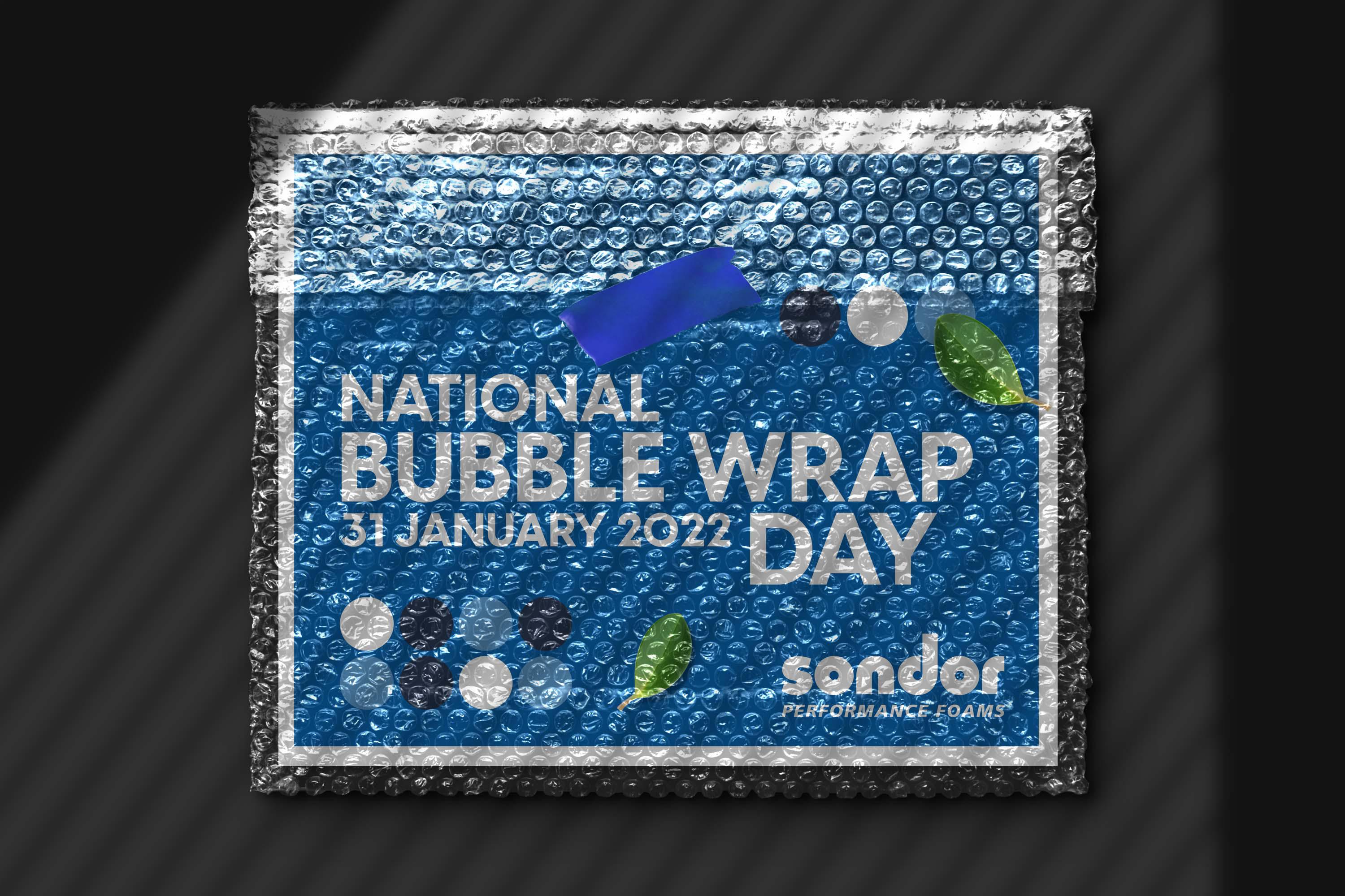 NATIONAL BUBBLE WRAP DAY