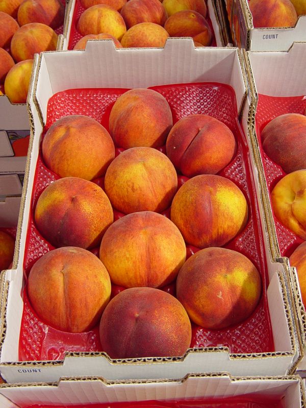 Bubble-wrap-Fruit-Protective-Packaging